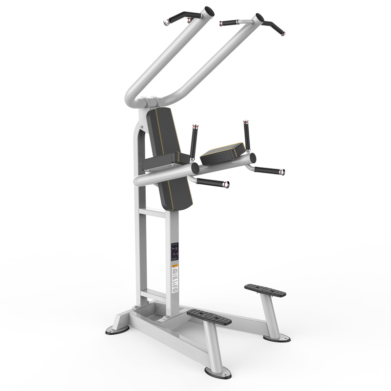 好博单双杆训练架8219商用健身器材健身房团购综合训练器