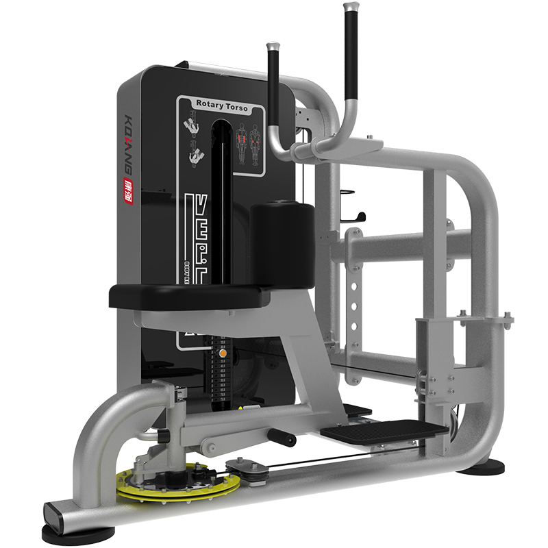 好博GT系列综合训练器家用商用扭腰训练器GT175