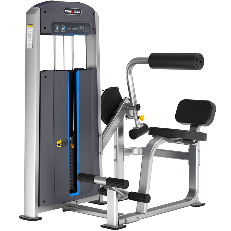 好博商用健身器材健身房专用 1010背部伸展训练器